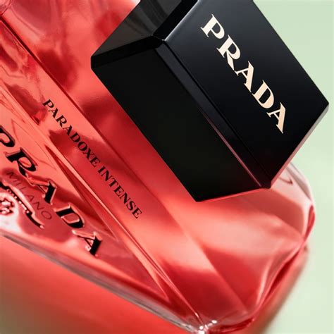 Prada Paradoxe Vs YSL Libre – Perfume Nez.